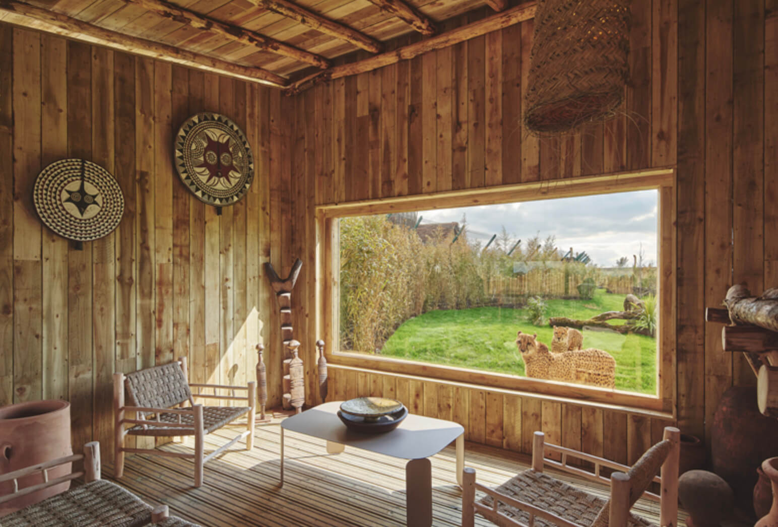 Africa comes to the West Midlands Safari Rhino Lodge