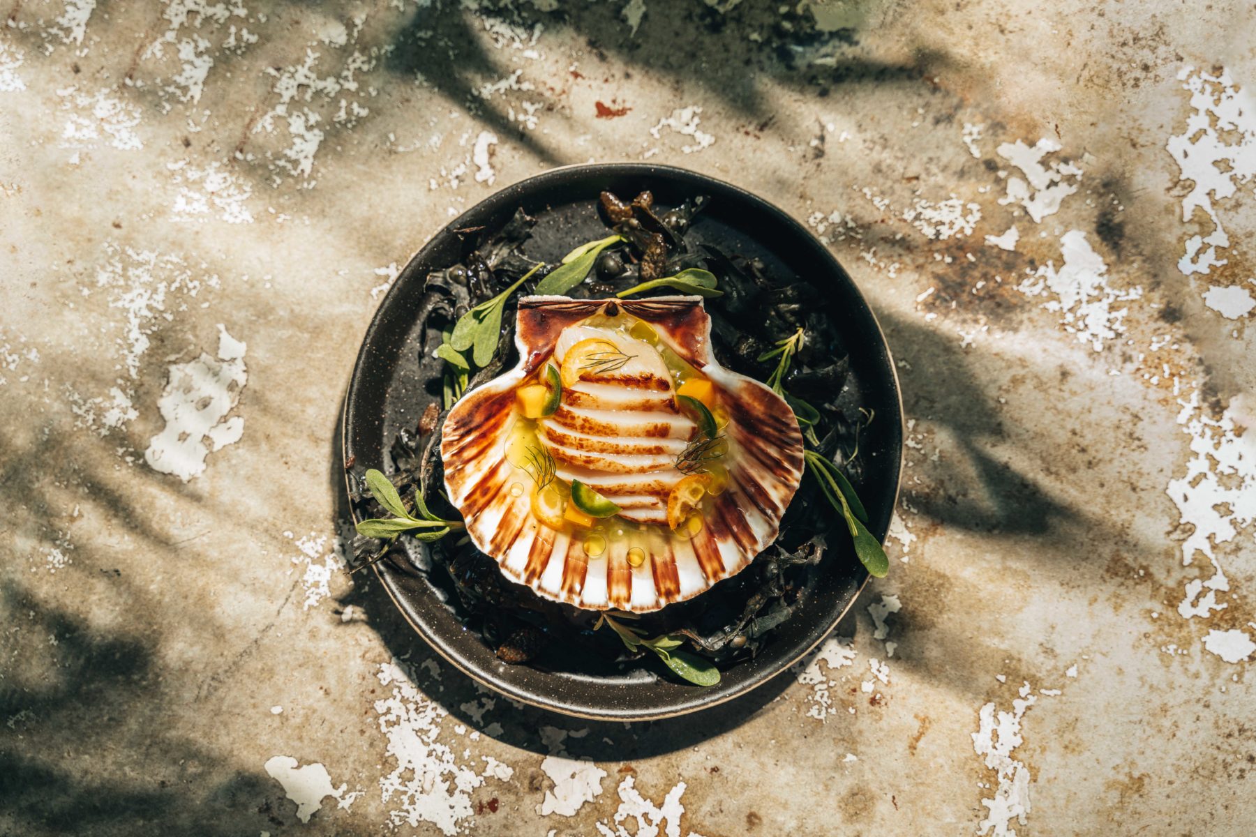 The YOPO Revolution: Fitzrovia's Jungle Haven re-opens