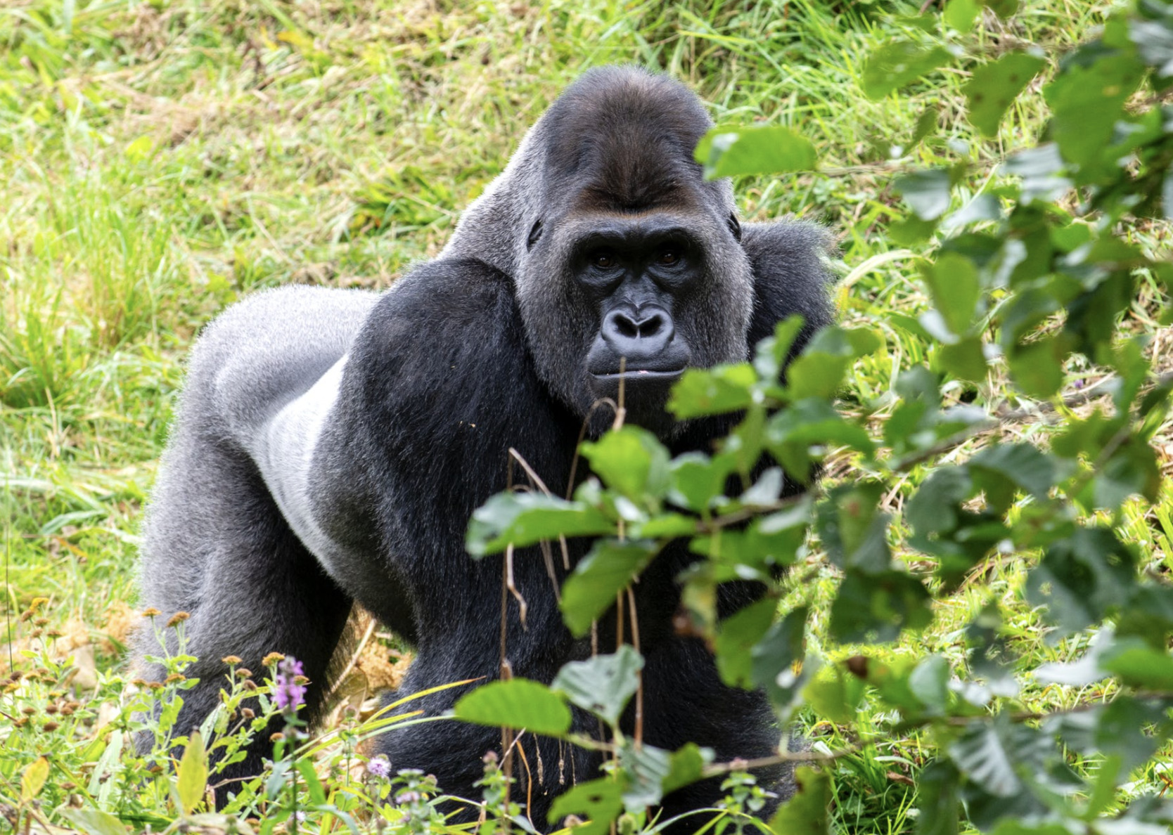 Luxuria Lifestyle International welcomes Augustine Tours Africa