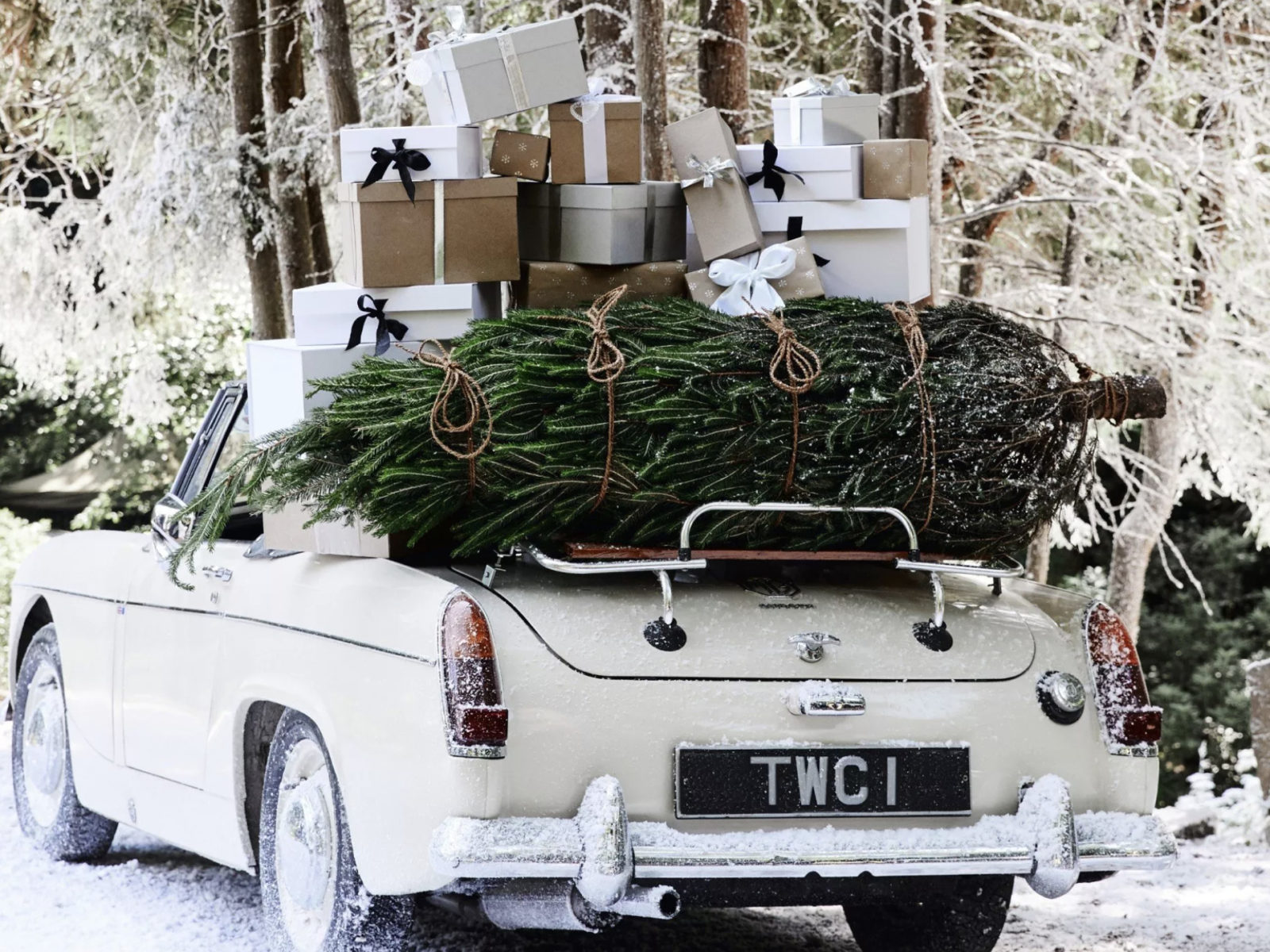 LUXURIA LIFESTYLE INTERNATIONAL WELCOMES THE WHITE COMPANY