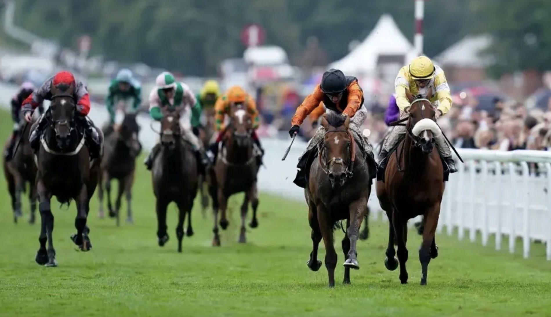 The world's most prestigious horse racing meetings