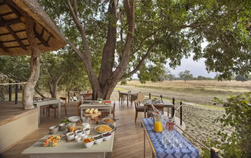 Outdoor buffet tables with fruits, pastries, and juice on wooden deck at Lion Camp under acacia trees by river.