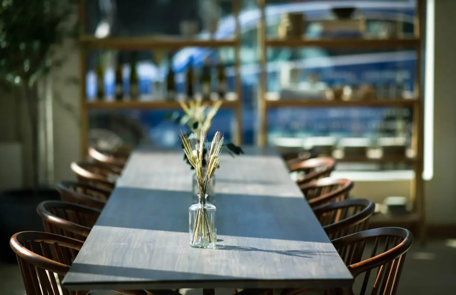 Long wooden dining table with glass vase of wheat stalks, wooden chairs, shelves with ceramics in sunlit cafe
