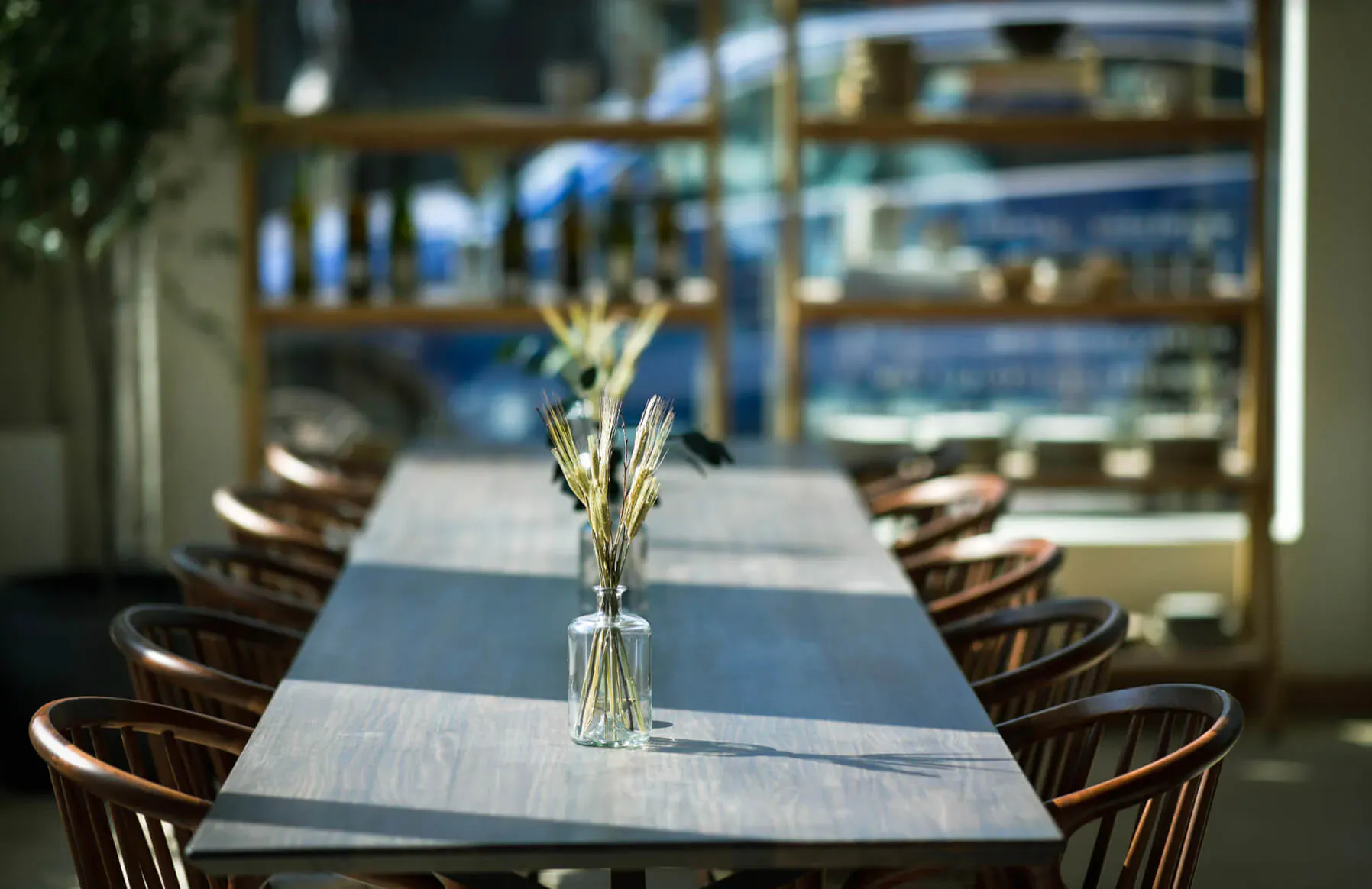 Long wooden dining table with glass vase of wheat stalks, wooden chairs, shelves with ceramics in sunlit cafe