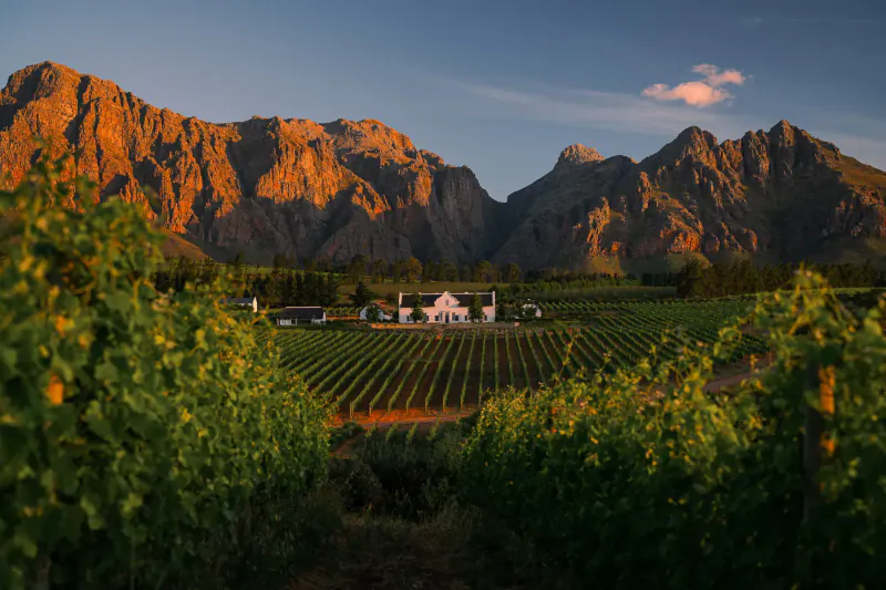 White manor house at Brookdale Wine Estate amid golden vineyards and rugged mountains at sunset