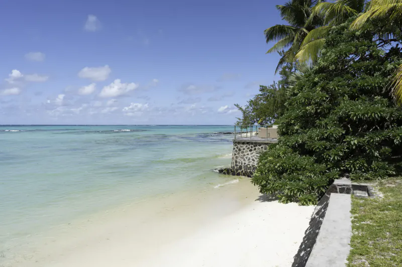 Sandy beach with turquoise lagoon, stone wall, lush palm trees, and grass in Mauritius.