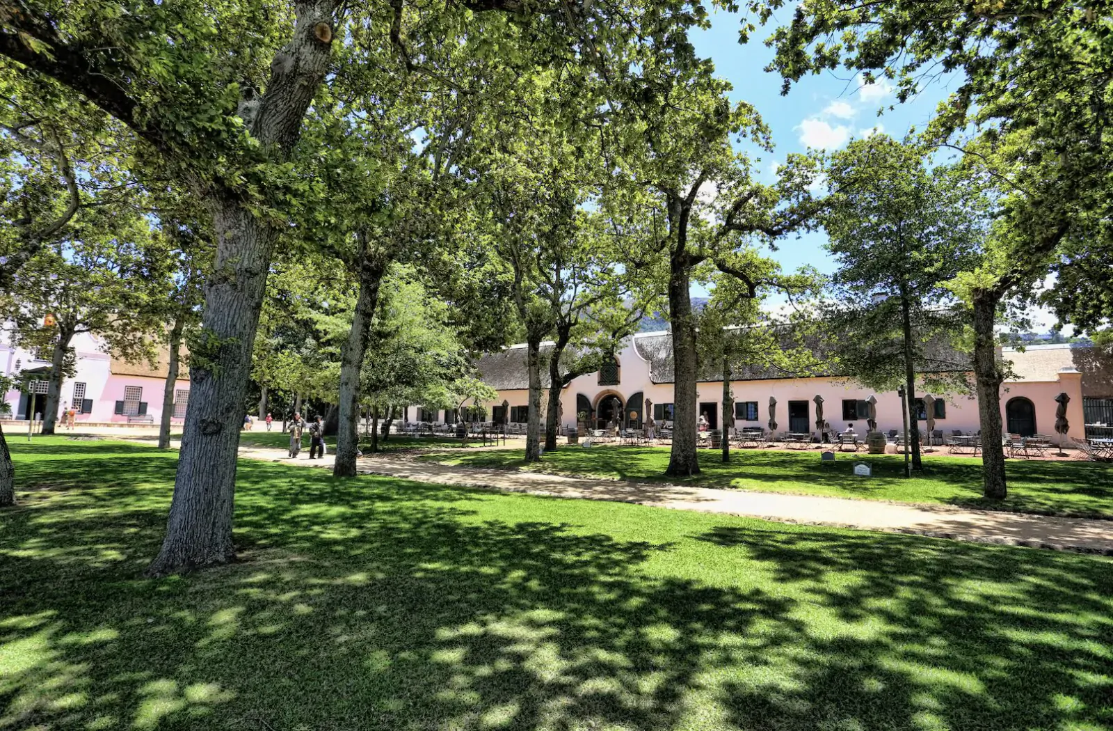 Groot Constantia winery: pink historic buildings line a grassy courtyard shaded by oak trees under blue sky.