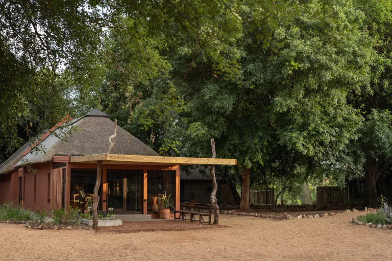 Traditional thatched-roof hut with wooden veranda under lush green trees in sandy wilderness clearing