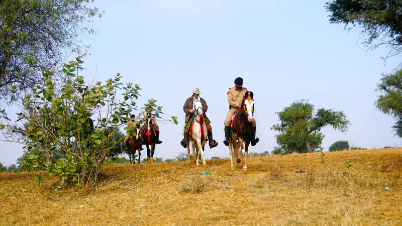 Four men on Marwari horses riding across Rajasthan's arid hillside amid trees under blue sky