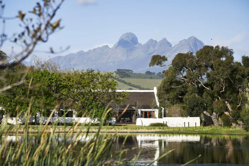 Vergenoegd Löw Wine Estate: white thatched farmhouse by pond, surrounded by trees and mountains, South Africa.