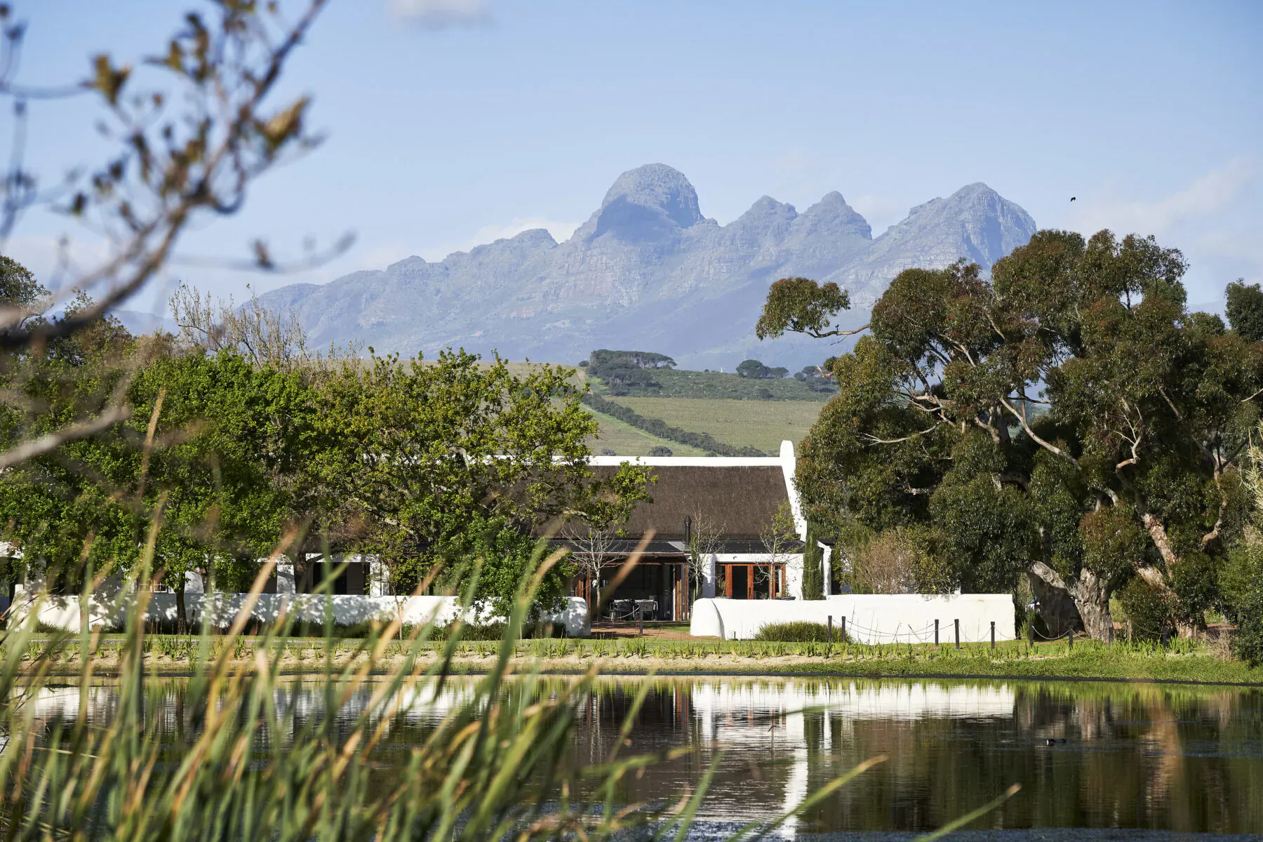 Vergenoegd Löw Wine Estate: white thatched farmhouse by pond, surrounded by trees and mountains, South Africa.