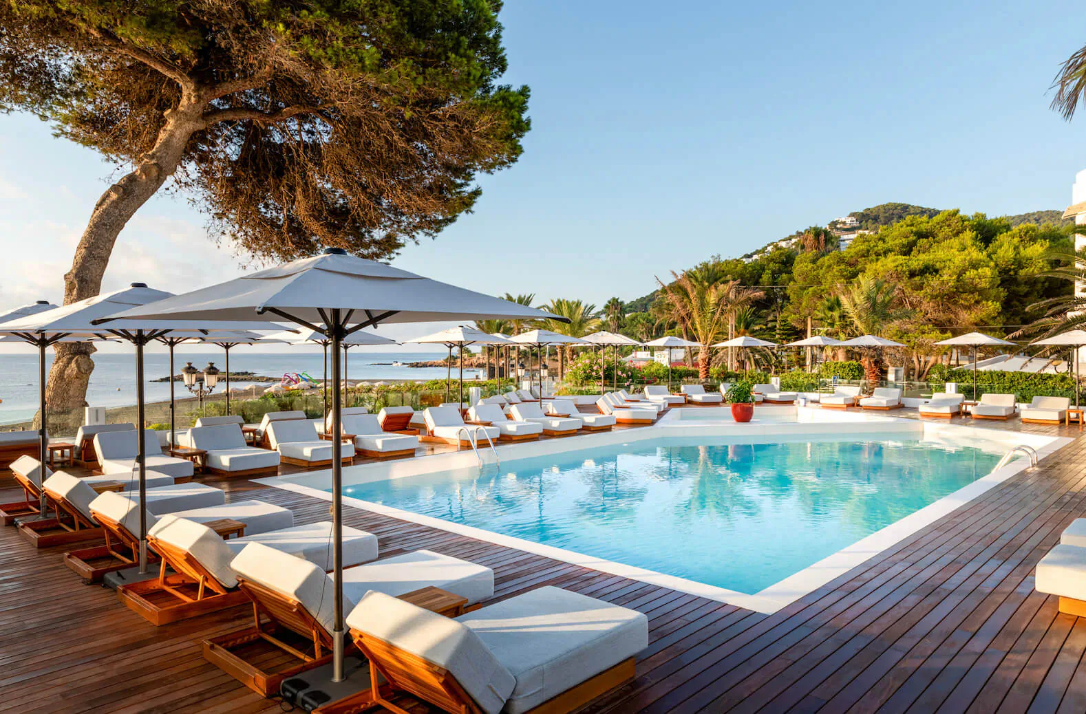 Luxury Hotel Riomar infinity pool in Ibiza with white loungers, umbrellas, pine trees, and sea view