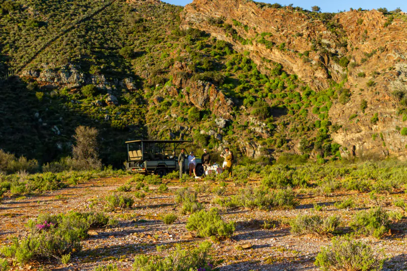 Open safari vehicle with people and hippos near it in grassy Mont Eco Game Reserve, surrounded by rocky green hills.