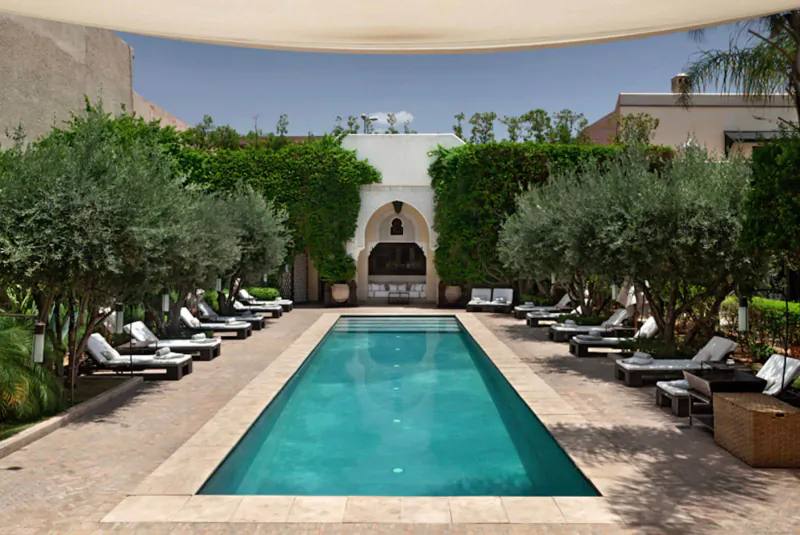Long turquoise pool in lush Marrakech riad courtyard, lined with lounge chairs under pergola and olive trees