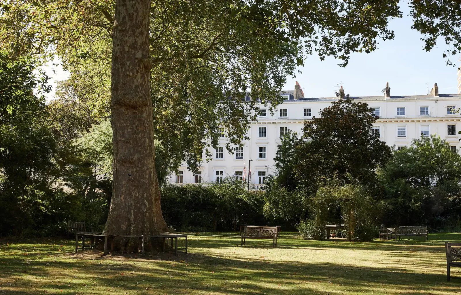 Large tree and wooden benches in lush green garden square with white Georgian townhouses behind, Eccleston Square Hotel.