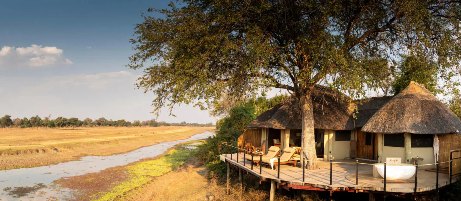 Lion Camp's thatched luxury cabins on elevated deck with bathtub, under acacia tree by river in golden savanna sunset