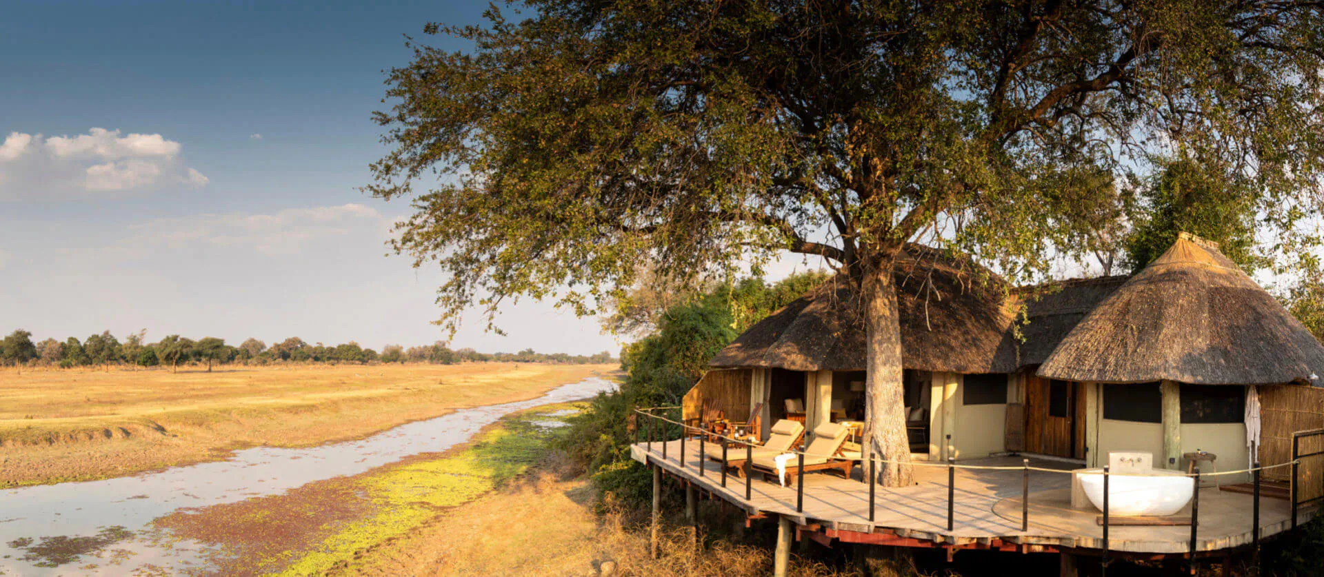 Lion Camp's thatched luxury cabins on elevated deck with bathtub, under acacia tree by river in golden savanna sunset