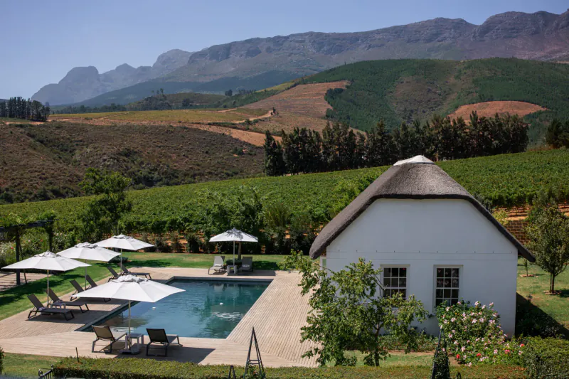 Aerial view of Brookdale Wine Estate: white thatched cottage, infinity pool with loungers, vineyards, and Table Mountain backdrop.