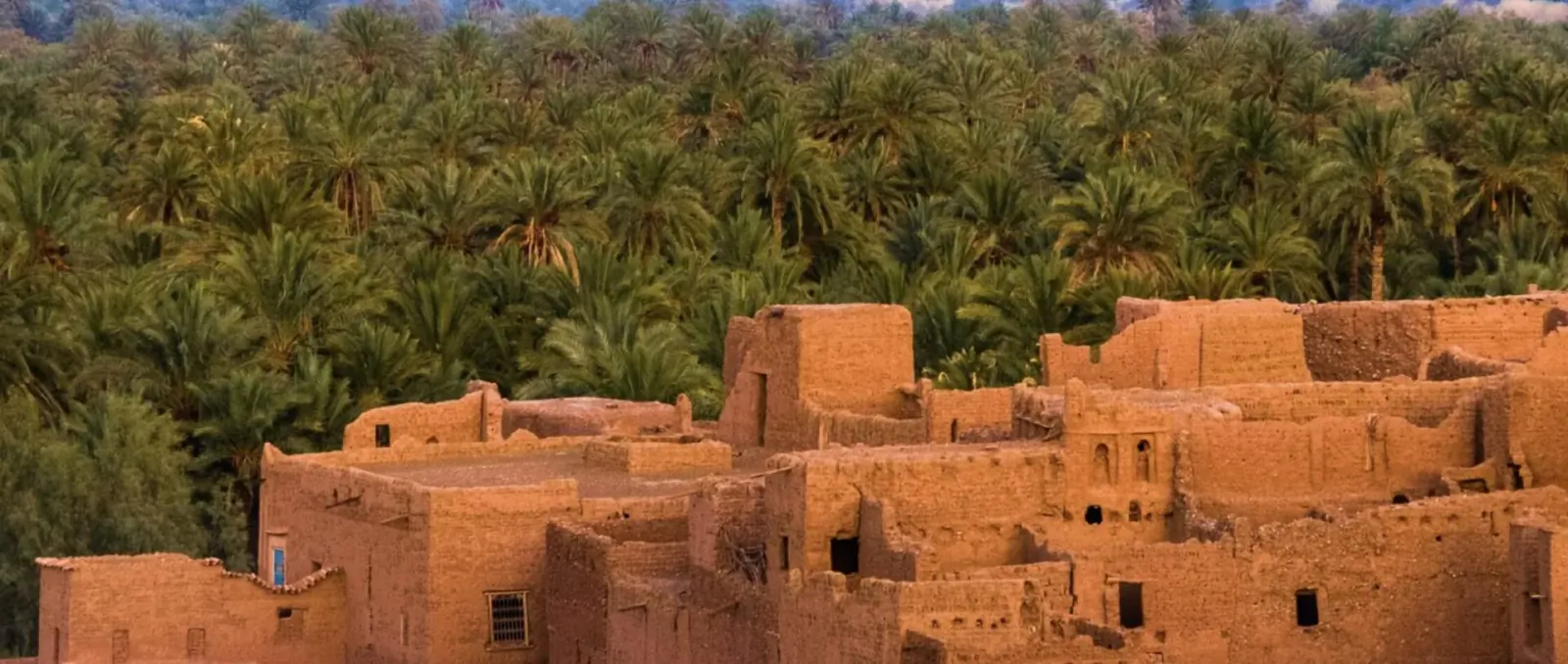 Cluster of traditional reddish-brown mud-brick buildings amid lush green palm groves in Qatar.