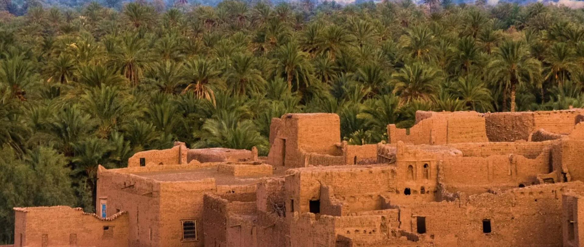 Cluster of traditional reddish-brown mud-brick buildings amid lush green palm groves in Qatar.