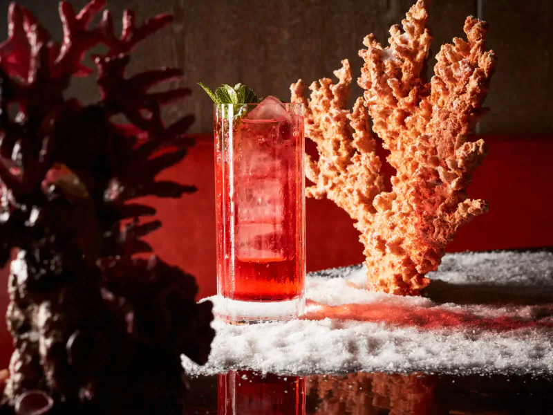 Tall red cocktail with mint leaf garnish beside orange coral on snowy surface, Sexy Fish Christmas Coral Forest