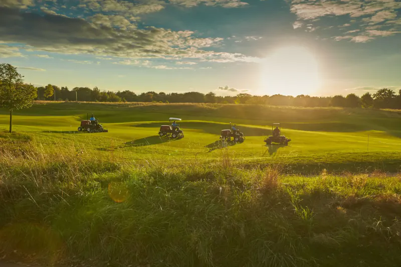 Golf tournament at The Grove: four golfers on lush green course at golden sunset with long shadows.