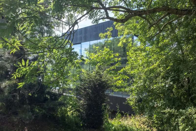 Glasshouse by the Lake gallery framed by lush green trees and foliage