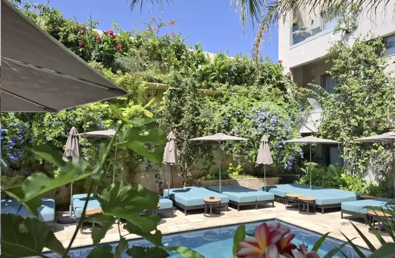 Lush green vine-covered courtyard with blue pool, teal lounge beds, umbrellas, and palm trees at a Malta spa resort.