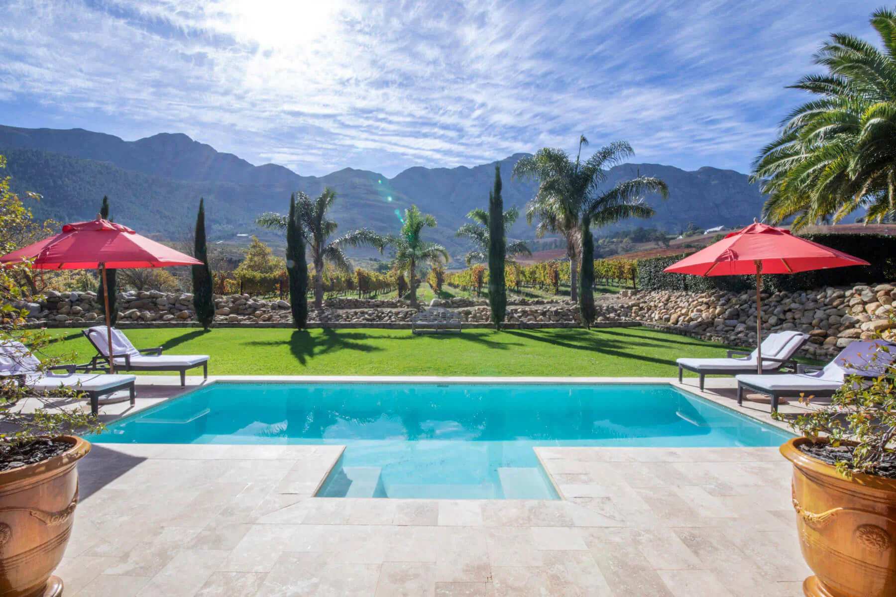 Luxury infinity pool with red umbrellas, lounge chairs, palm trees, vineyards, and mountains in Franschhoek under sunny skies.
