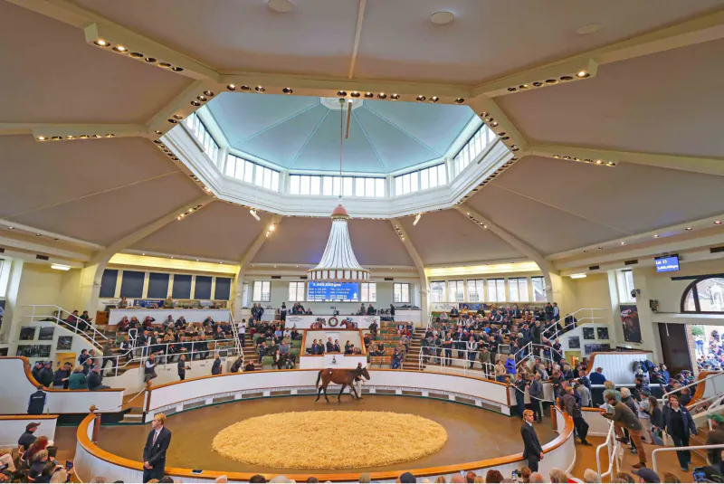 Octagonal arena at Tattersalls auction with horse in central ring surrounded by suited bidders on tiered seating