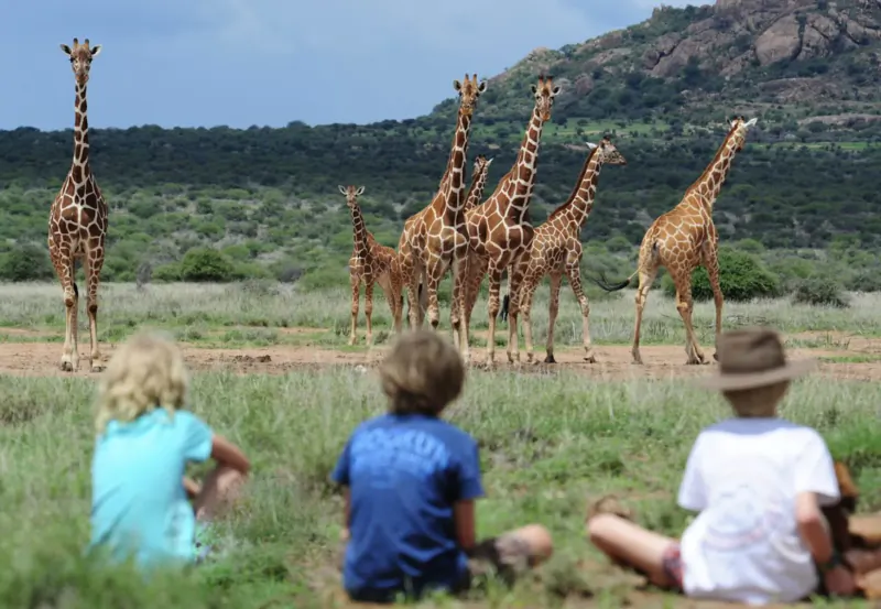 Children sitting on grass watching a herd of giraffes in Kenyan savanna with hills, Tumaren Camp walking safari.