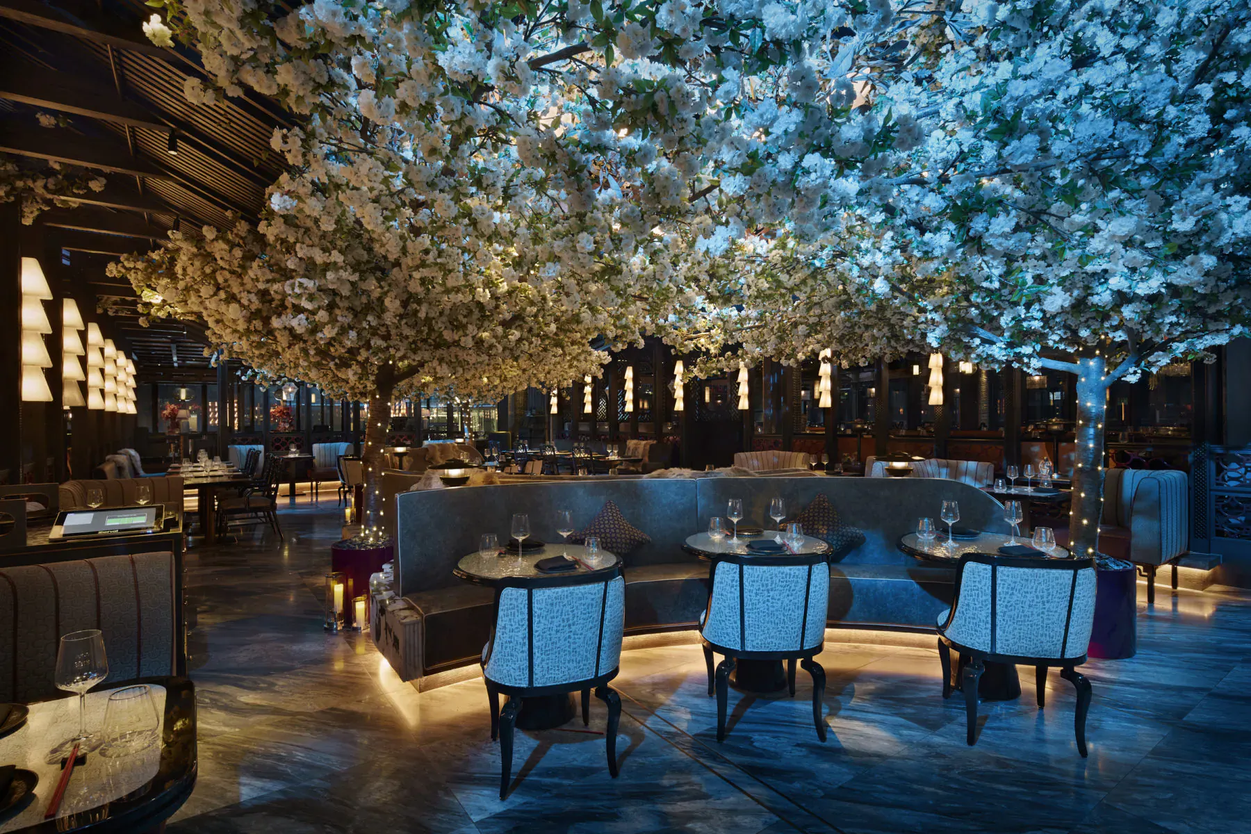 Elegant Tattu London dining room under canopy of glowing white cherry blossom trees, curved banquettes and tables set.