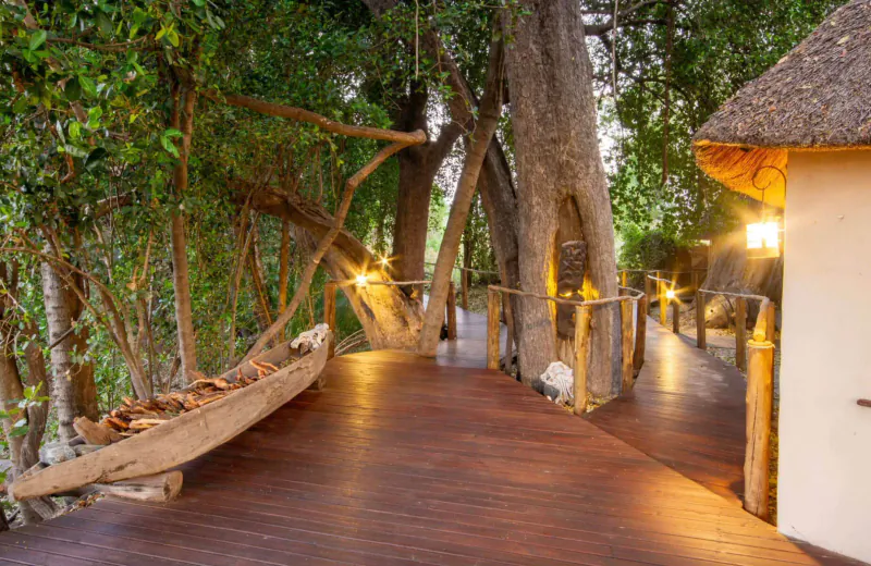Wooden walkway lit at night amid lush trees, with dugout canoe and thatched hut in Botswana safari lodge