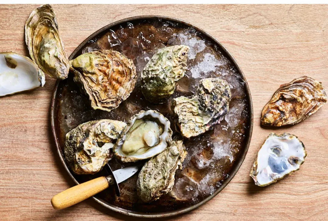Fresh oysters on ice in a round metal tray with yellow-handled oyster knife, on wooden table