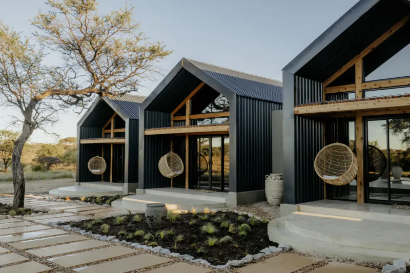 Three modern black luxury villas with wooden accents and hanging egg chairs on a Namibian savanna patio amid trees and plants.