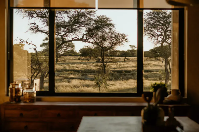 Window in luxury savanna villa overlooking Namibia's vast acacia-dotted wilderness, with plants on wooden sill.
