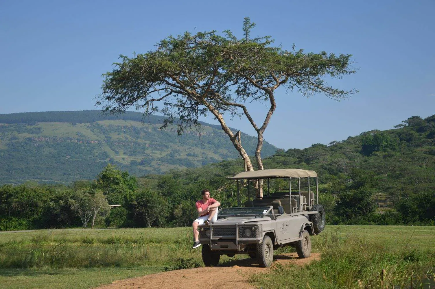 Man in red shirt sits on gray Land Rover safari vehicle under acacia tree in African savanna with hills and grassland