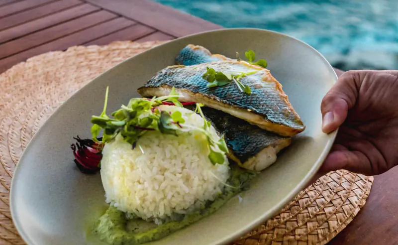 Hand holding plate of grilled sea bass, white rice, green sauce, and microgreens on wooden table by turquoise sea.