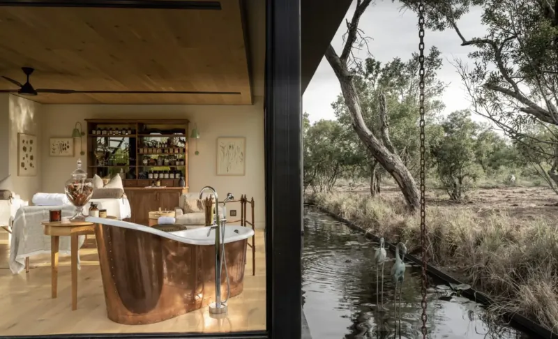 Luxury eco-lodge bathroom with copper bathtub overlooking bushveld trees and river at Monwana Game Lodge.