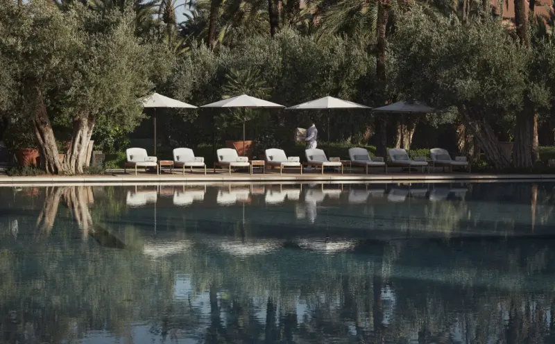 Luxury poolside loungers under umbrellas at Royal Mansour Marrakech, surrounded by palm and olive trees, with serene water reflections.