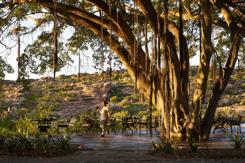 Emma Blunt walks near benches under massive golden banyan tree at Bushman’s Kloof, surrounded by lush greenery and rocky hills.