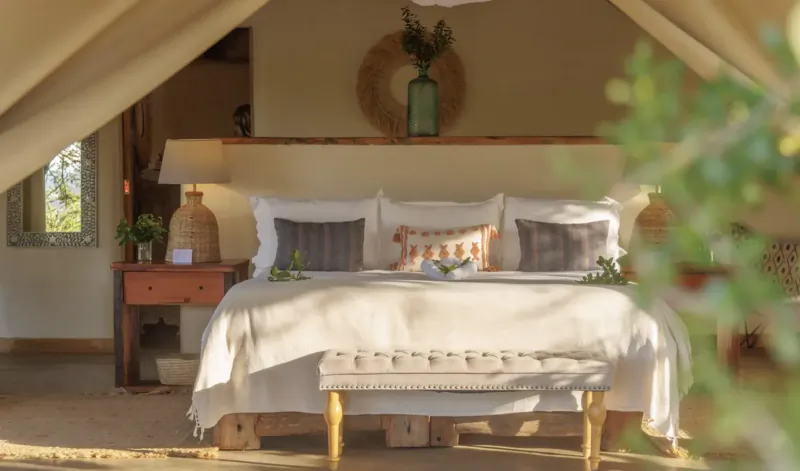 Cozy bed in El Karama Lodge tent at Laikipia, Kenya, with pillows, plants, lamp, and bench.