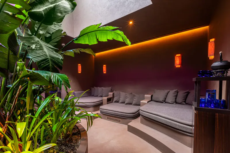 Lush tropical plants surround curved gray lounge sofas in ambient-lit luxury spa lounge at The Mandrake, London