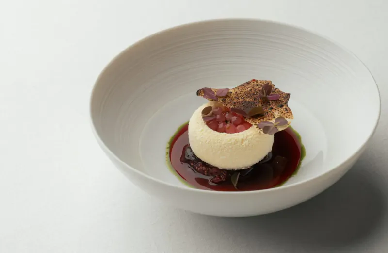 White bowl with panna cotta, red berry sauce, and crumb garnish on white plate