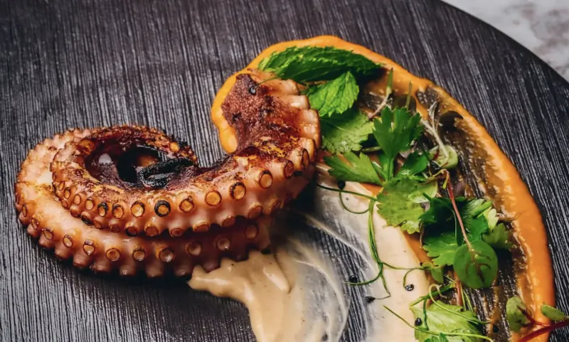 Grilled octopus tentacle on black plate with orange sauce, aioli, and fresh herbs at Cavo Mediterranean restaurant