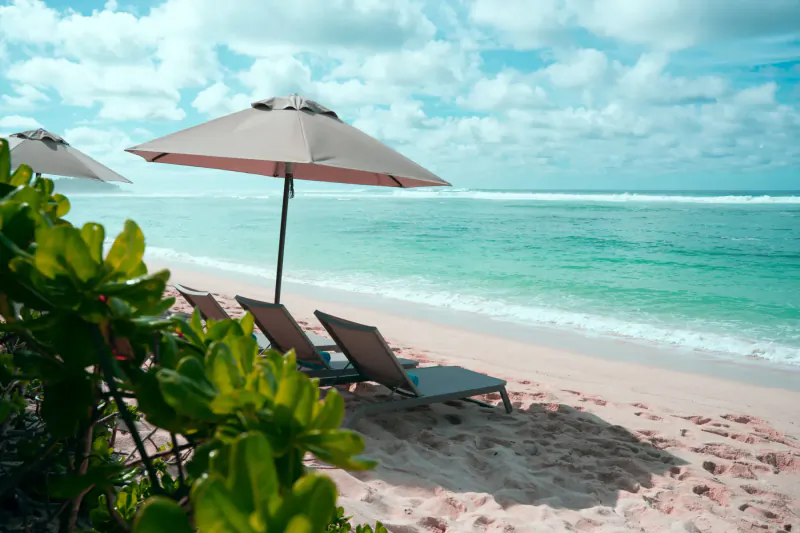 Tropical beach with beige umbrellas shading lounge chairs on white sand, turquoise ocean, green foliage foreground
