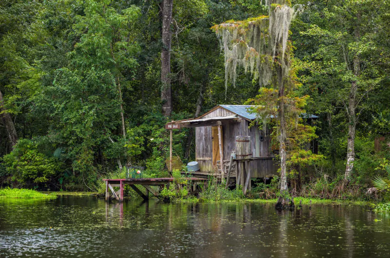 Weathered wooden cabin on stilts over swampy lake, surrounded by lush green trees and Spanish moss.
