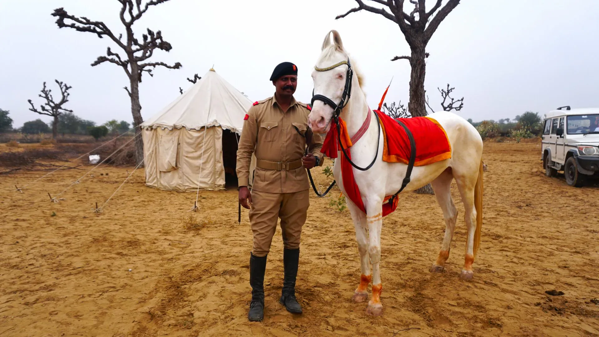 Indian officer in khaki uniform holds reins of white Marwari horse with red saddlecloth by tent in Rajasthan desert