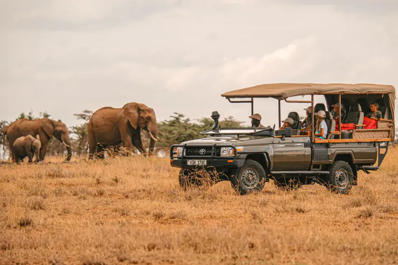 Safari jeep with tourists observing a herd of elephants grazing on the savanna under cloudy skies.