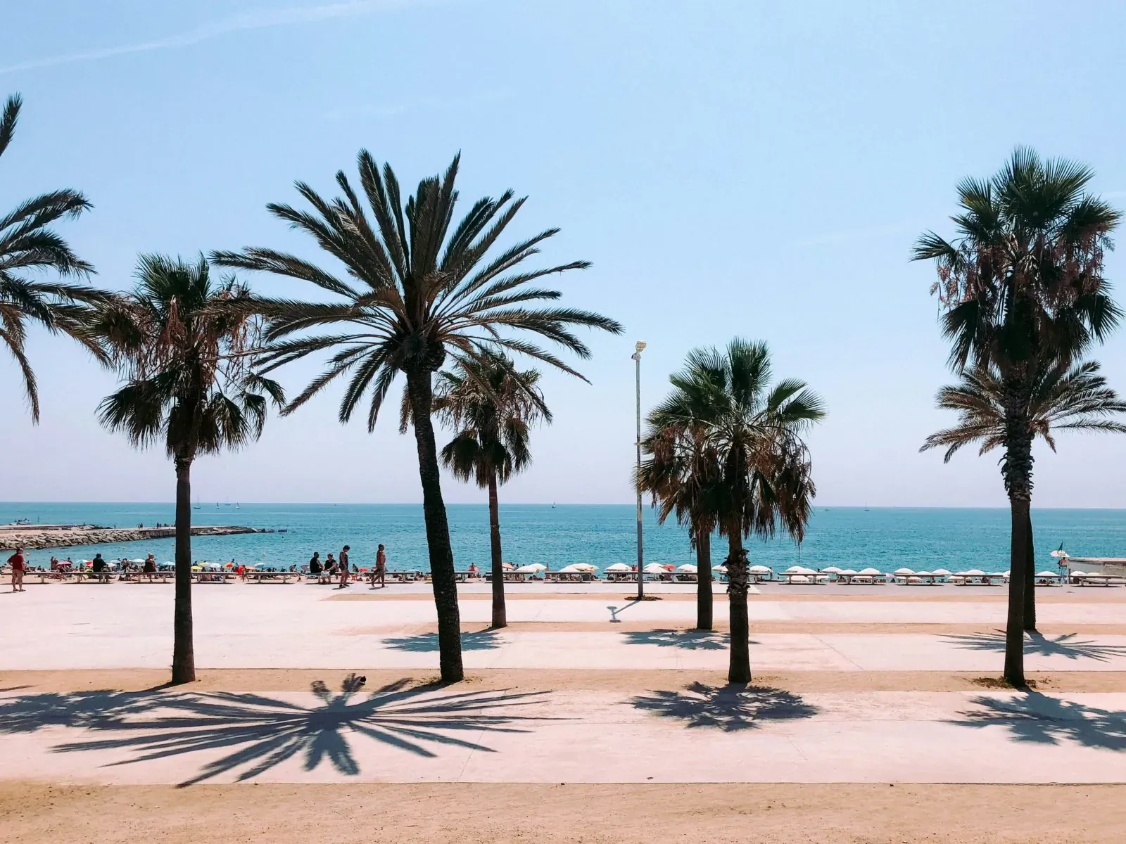 Row of tall palm trees casting long shadows on sunny beach promenade with sea and people in distance